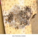 Suelo tradicional con moho negro